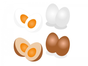 ゆで卵 煮玉子 味玉イラスト素材 イラスト無料 かわいいテンプレート