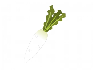 大根 野菜イラスト素材 イラスト無料 かわいいテンプレート