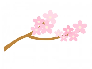 最も欲しかった かわいい 春 桜 イラスト ただの無料イラスト