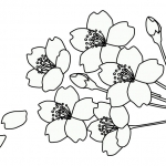 ぬりえ素材 桜の花 イラスト無料 かわいいテンプレート