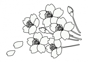 ぬりえ素材 桜の花 イラスト無料 かわいいテンプレート
