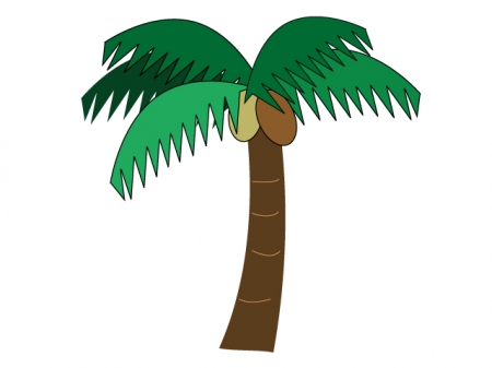 椰子（ヤシ）の実がなっている椰子の木のイラスト
