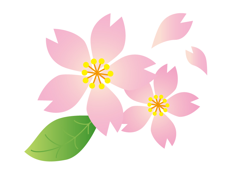 桜の花びら・春イラスト素材 | イラスト無料・かわいいテンプレート