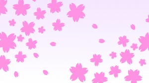 桜の花びらの壁紙 背景素材 1 9px 1 080px イラスト無料 かわいいテンプレート