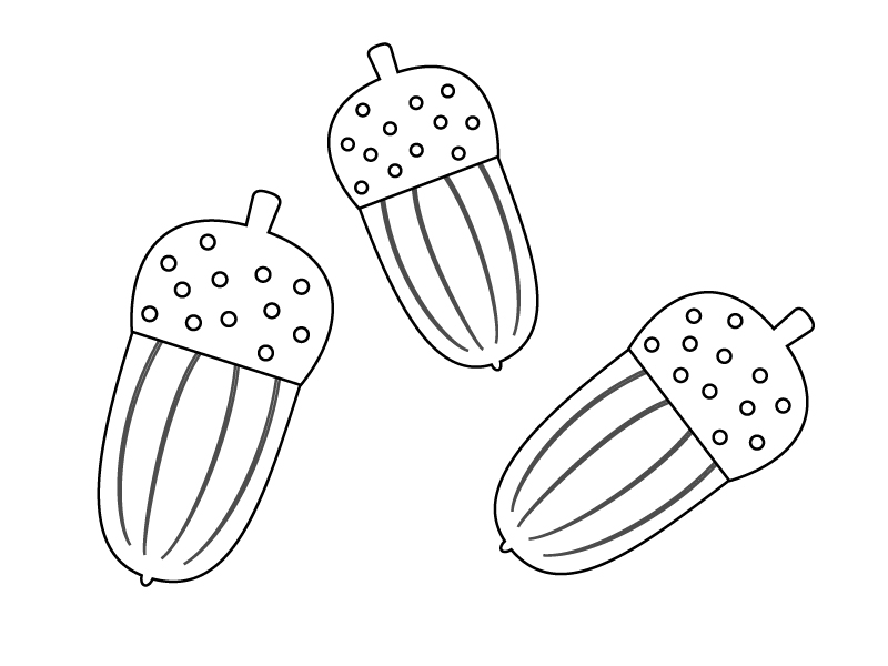 ぬりえ素材・どんぐり・秋