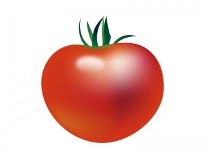 トマト 野菜イラスト素材02 イラスト無料 かわいいテンプレート