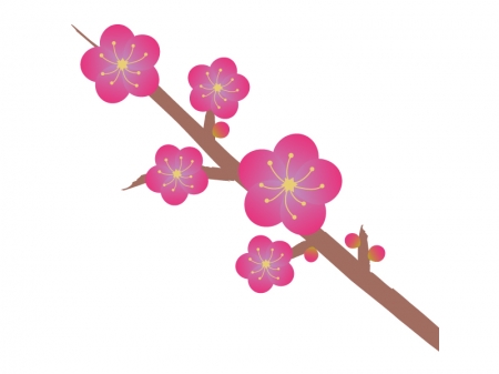 梅の花（枝付き）のイラスト