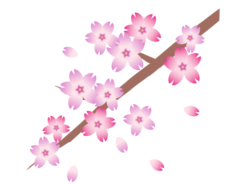 桜の木と花びらのイラスト