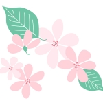 星座 オリオン座のイラスト イラスト無料 かわいいテンプレート