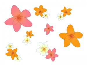 ピンク色とオレンジ色の小花のイラスト イラスト無料 かわいいテンプレート