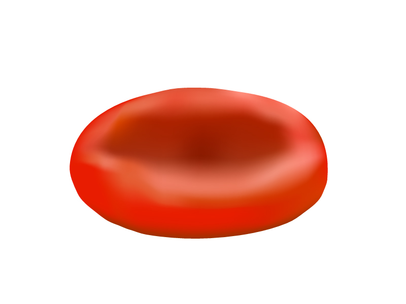 赤血球のイラスト イラスト無料 かわいいテンプレート
