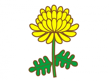 黄色い一輪の菊のイラスト