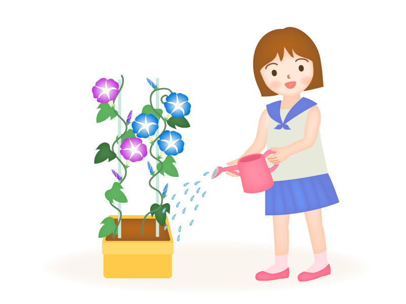 朝顔を育てる女の子のイラスト イラスト無料 かわいいテンプレート