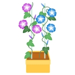 あさがお 全てのイラストが無料 かわいいテンプレート