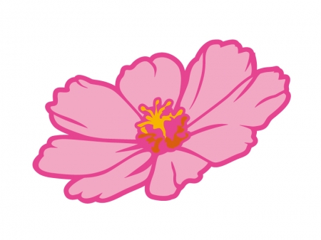 ピンク色のコスモス（秋桜）の花びらのイラスト