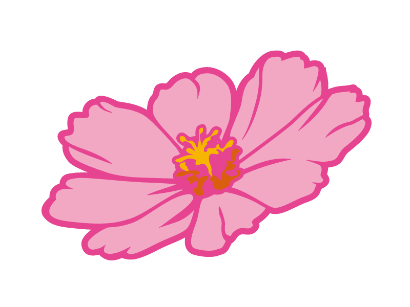 ピンク色のコスモス（秋桜）の花びらのイラスト