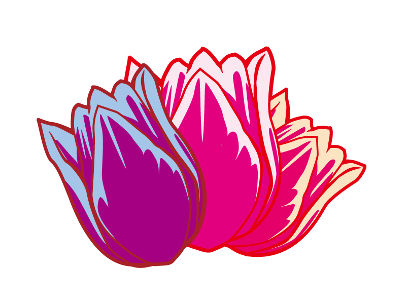 三輪のチューリップの花のイラスト