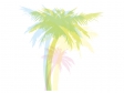 椰子の木の色付きシルエットのイラスト