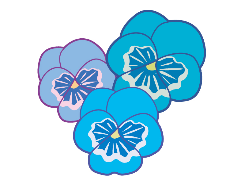 三輪の青いパンジーの花のイラスト
