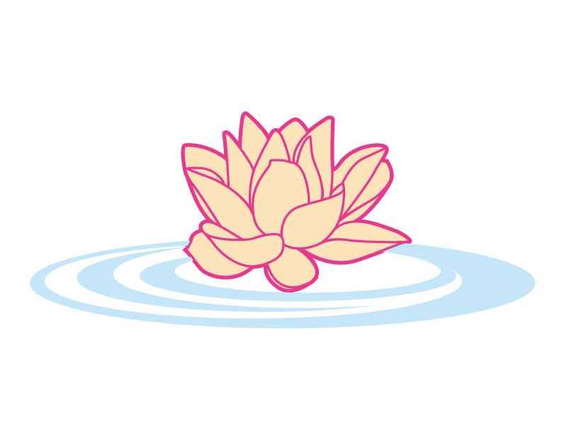 水に浮いて咲いているスイレンのイラスト