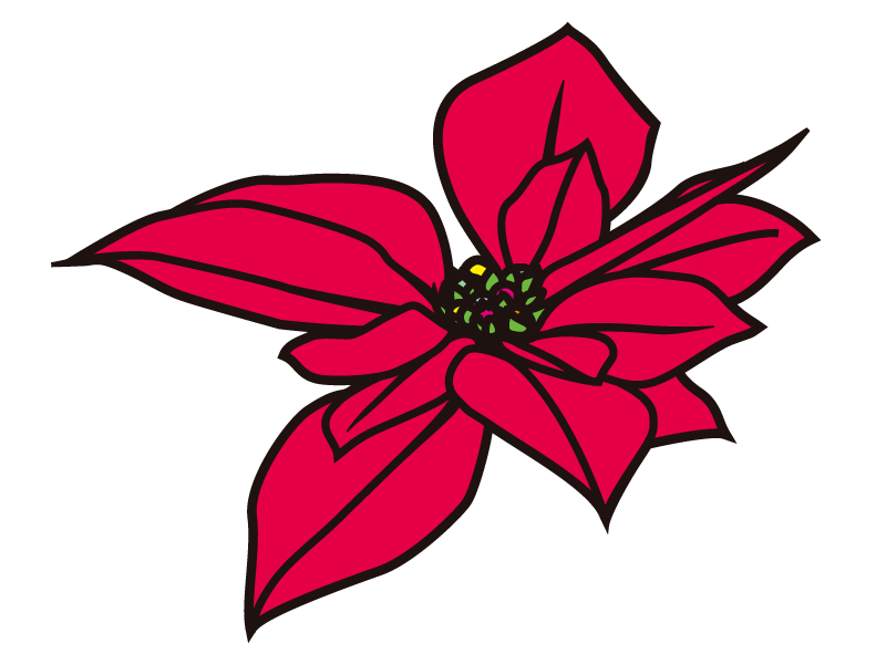 赤いポインセチアの花びらのイラスト