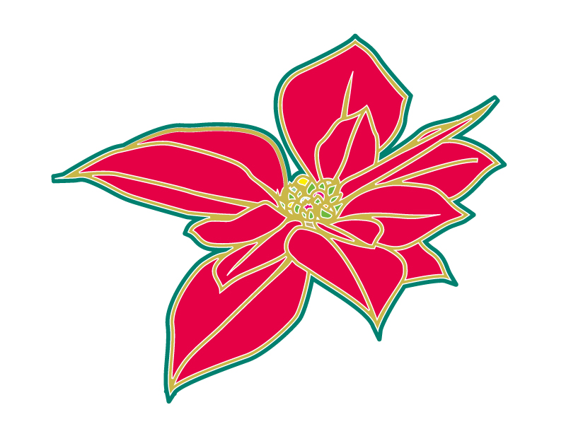 クリスマス風カラーのポインセチアの花びらのイラスト