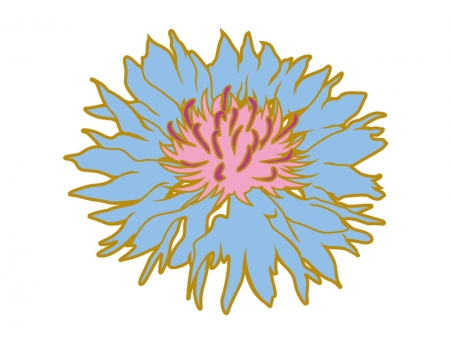 青いヤグルマギクの花のイラスト