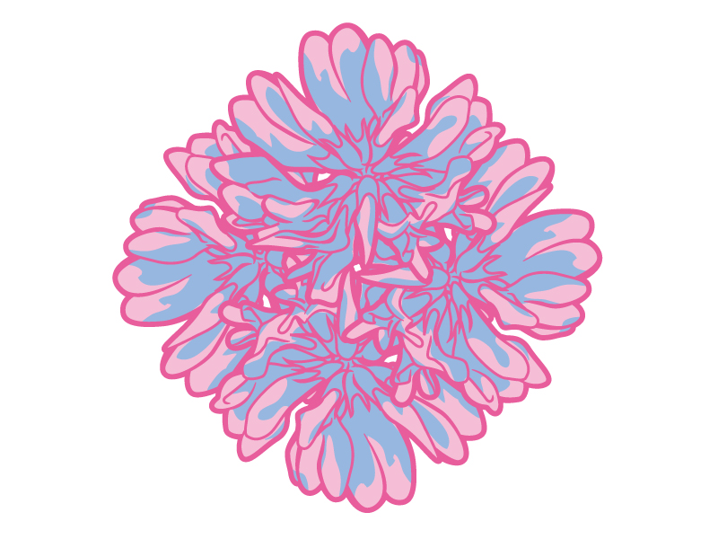 たくさんのレンゲソウ（蓮華草）の花びらのイラスト