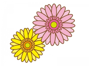 黄色とピンク色のガーベラのイラスト イラスト無料 かわいいテンプレート