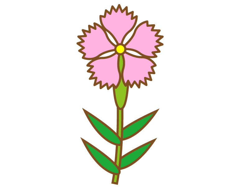ピンク色のナデシコ（撫子）のイラスト