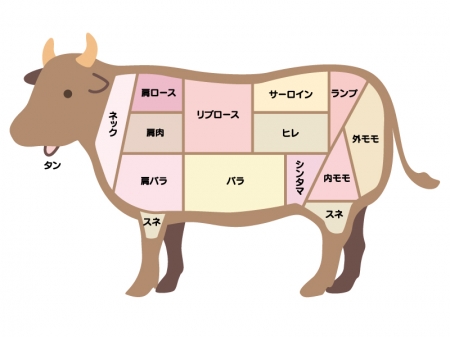 牛肉の部位のイラスト