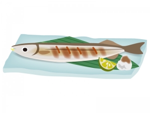 お皿に盛りつけた焼きサンマ 秋刀魚 のイラスト イラスト無料 かわいいテンプレート