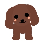 ラッコのイラスト イラスト無料 かわいいテンプレート ラッコのイラスト イラスト無料 かわいいテンプレート