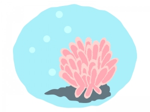 サンゴ 珊瑚のイラスト イラスト無料 かわいいテンプレート
