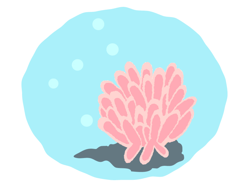 サンゴ・珊瑚のイラスト