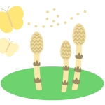 そろばんのイラスト イラスト無料 かわいいテンプレート そろばんのイラスト イラスト無料 かわいいテンプレート