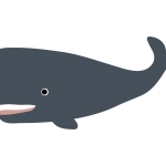 クジラ マッコウクジラ のイラスト イラスト無料 かわいいテンプレート クジラ マッコウクジラ のイラスト イラスト無料 かわいいテンプレート