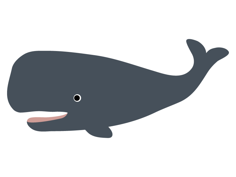 クジラ（マッコウクジラ）のイラスト