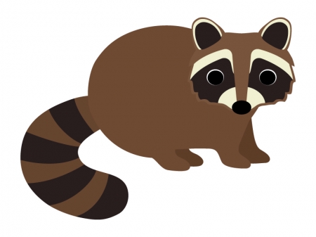 アライグマのイラスト