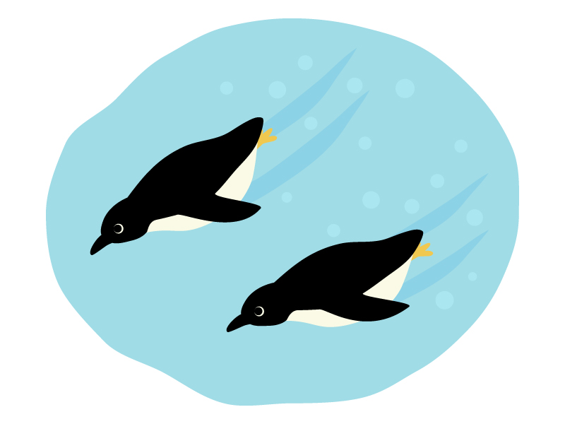 泳ぐペンギンのイラスト