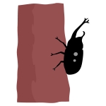 初心者マーク 若葉マーク イラスト素材 イラスト無料 かわいいテンプレート 初心者マーク 若葉マーク イラスト素材 イラスト無料 かわいいテンプレート