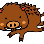 猪 全てのイラストが無料 かわいいテンプレート