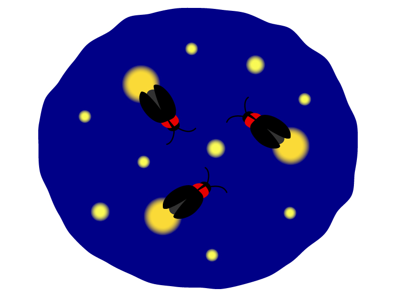 夜にホタルが飛んでいるイラスト