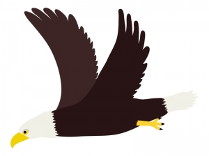 飛んでいる鷲のイラスト イラスト無料 かわいいテンプレート