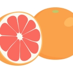 南国 全てのイラストが無料 かわいいテンプレート