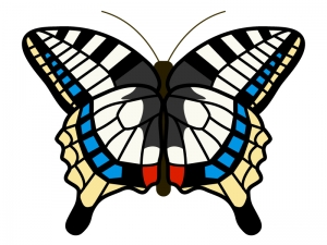 アゲハ蝶のイラスト02 イラスト無料 かわいいテンプレート