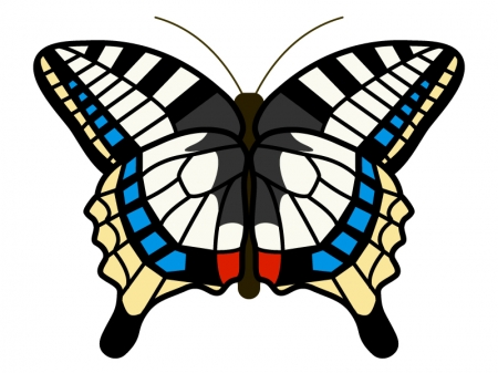 アゲハ蝶のイラスト02