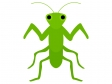 カマキリのイラスト