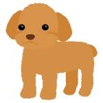 劇場風のフレーム 飾り枠素材 イラスト無料 かわいいテンプレート