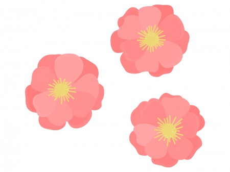 鮮やかな桃の花のイラスト